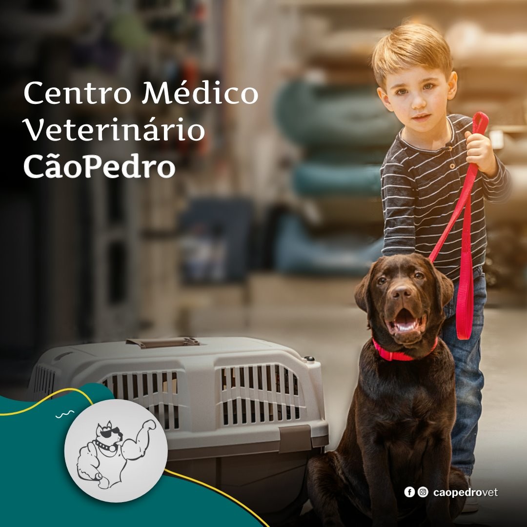 Centro Médico Veterinário CãoPedro preparado para atendimento de pets